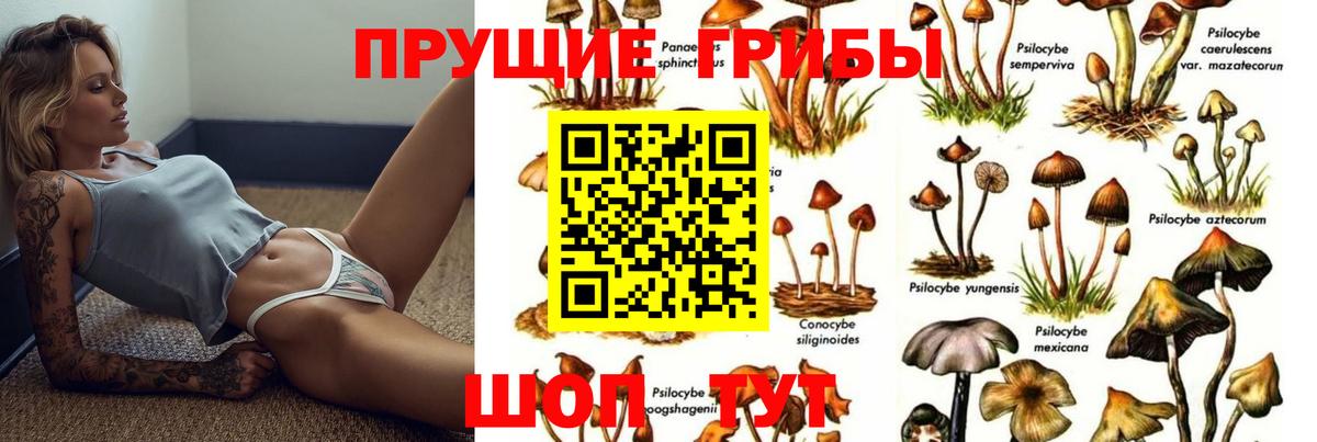 Галлюциногенные грибы MAGIC MUSHROOMS  наркотики  Чайковский  Вход с VPN 