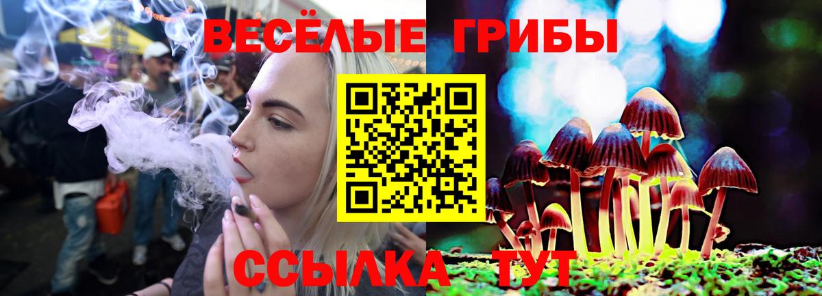 Псилоцибиновые грибы Psilocybine cubensis Чайковский